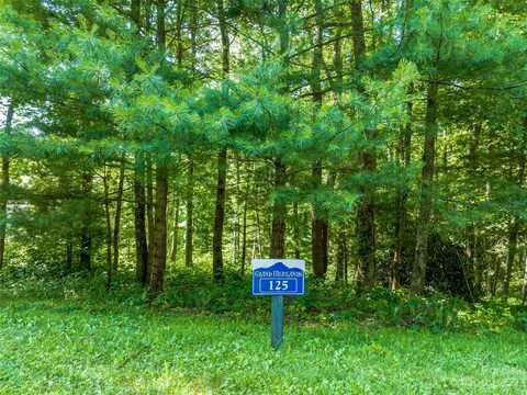 Lot 125 Thunder Mountain Road, Hendersonville, NC 28792