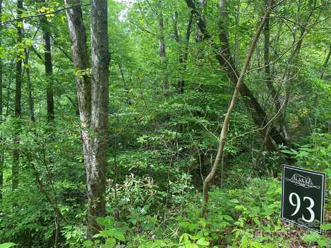 Lot 93 Alarka Highlands Drive, Bryson City, NC 28713