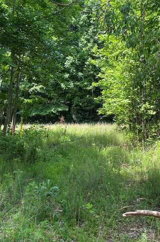 199 Cherry Hill, Mill Spring, NC 28756