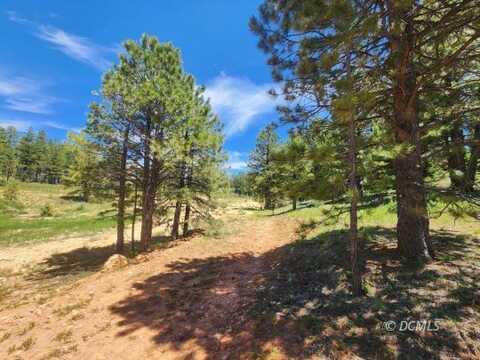 710 N Bonanza Hill, Duck Creek Village, UT 84762