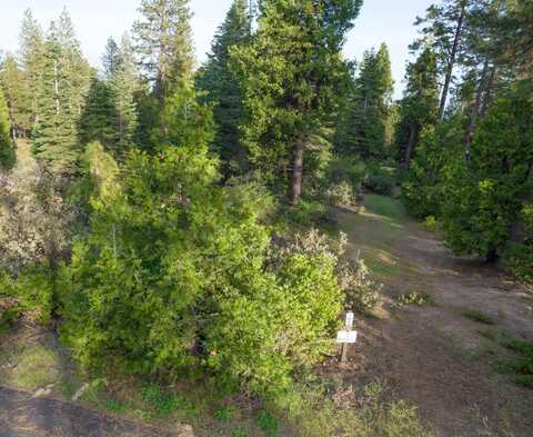 0 Leopard Lilly Ln, Shaver Lake, CA 93664