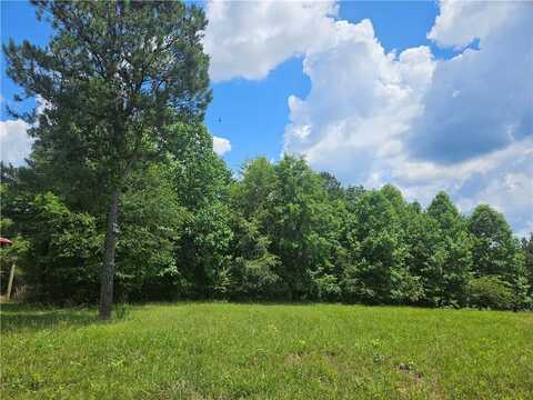 3 Young Loop, Fairmount, GA 30139