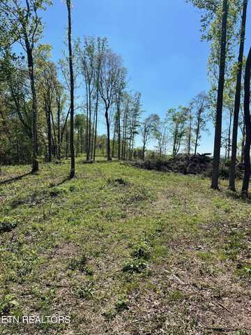 Tract 1 Mill Creek Rd, Andersonville, TN 37705