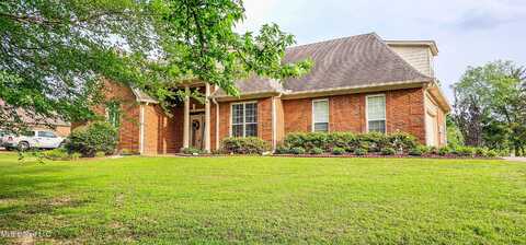 2045 Tall Tree Drive, Horn Lake, MS 38637