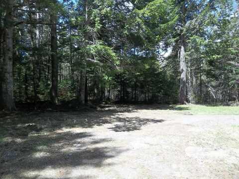 12 Tomah Dam Road, Waite, ME 04492