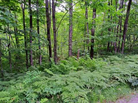 Lot 12 Barker Road, New Vineyard, ME 04956