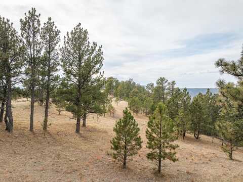 TBD Lot 6 Joy Drive, Hot Springs, SD 57747