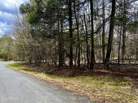 Lot 826 Fawn Rd and Lot 824 Pine Creek Road, Hawley, PA 18428