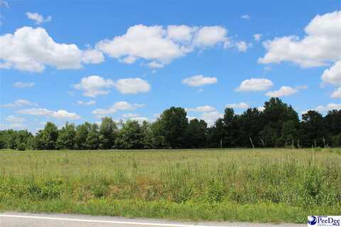 Lot 12 Luther Rogers Rd., Marion, SC 29571
