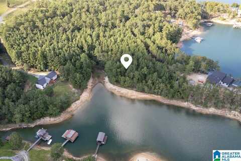 Lot B CAMP JIMMY GOODWIN ROAD, JASPER, AL 35503