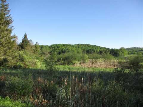 Lot 1 State Route 80, Smyrna, NY 13464