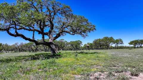 00 Hwy 83, Menard, TX 76859