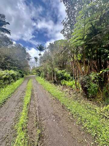 18-2011 POMAIKAI ST, VOLCANO, HI 96785