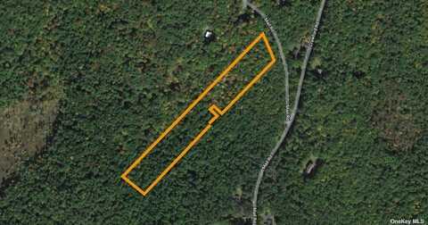 Lot 1 Mail Road, Barryville, NY 12719