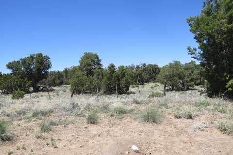 Off Hwy 36, near Fence Lake, Fence Lake, NM 87315