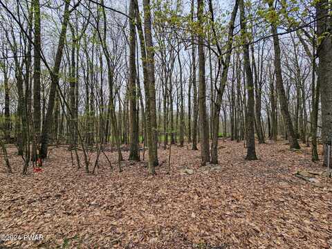 Lot 216rr Big Bear Dr. Drive, Greentown, PA 18426