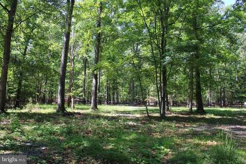 LOT 8 KING COURT, SPRINGFIELD, WV 26763