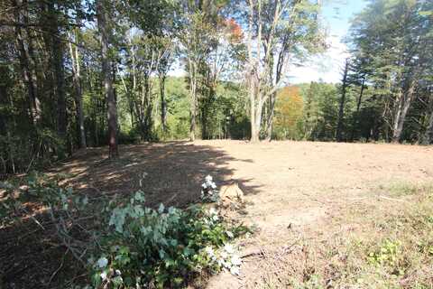 Lot #45 Laurel Way, Mountain City, TN 37683