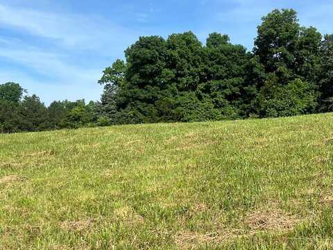Lot 60 Holly Bend Drive, Byrdstown, TN 38549