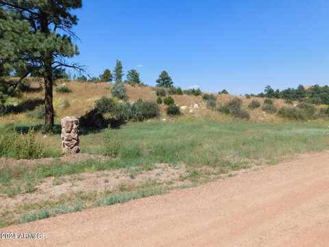 2806-2808 Pine Hill Drive, Overgaard, AZ 85933