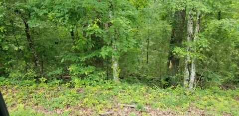 Lot 137 Randall Fugate Road, Spring City, TN 37381