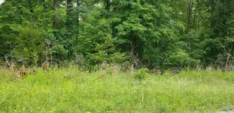 Lot 114 Randall Fugate Road, Spring City, TN 37381