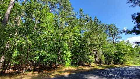 00 Loblolly Lane, Mill Spring, NC 28756