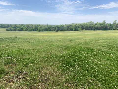 000 Tbd Lazy Acres Road, Protem, MO 65733