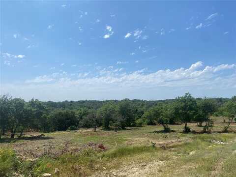 1005 Spring Ranch Drive, Weatherford, TX 76088