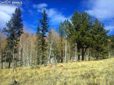 5221 County Road 100, Florissant, CO 80816