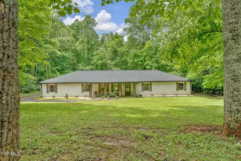 109 Shadybrook Dr. Drive, Johnson City, TN 37604