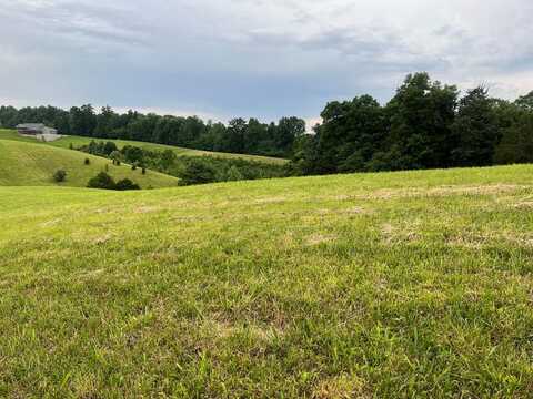Lot 59 Holly Bend Drive, Byrdstown, TN 38549