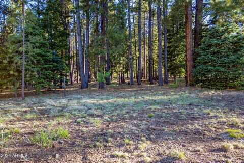 10 N Street N1337 --, Greer, AZ 85927