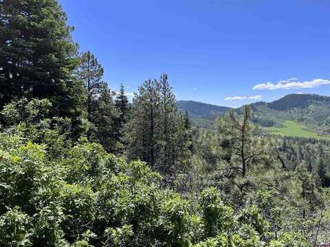 431 Jackalope Drive, Bayfield, CO 81122