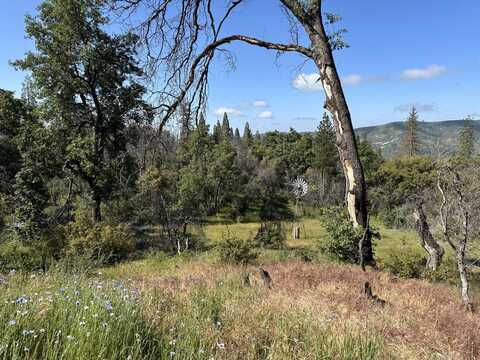 38113 Peterson Road, Auberry, CA 93602