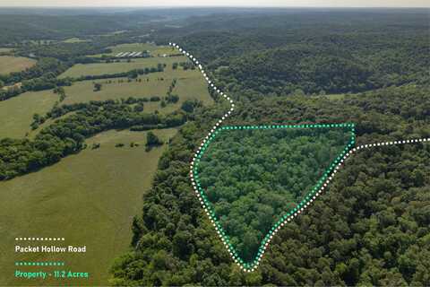 000 Packet Hollow Road, Pineville, MO 64856