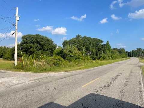 Tract 5 Tract 5 of 620 George Wise Rd, Carriere, MS 39426
