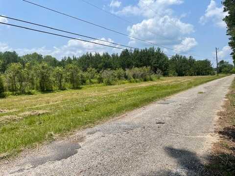 Tract 7 Tract 7 of 620 George Wise Rd, Carriere, MS 39426