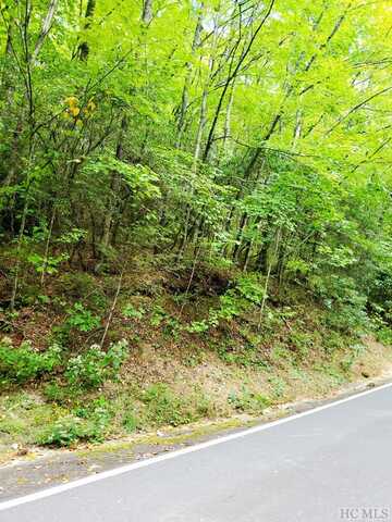 Lot 83 West Christy Trail, Sapphire, NC 28774