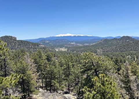 8271 CR 92, Lake George, CO 80827