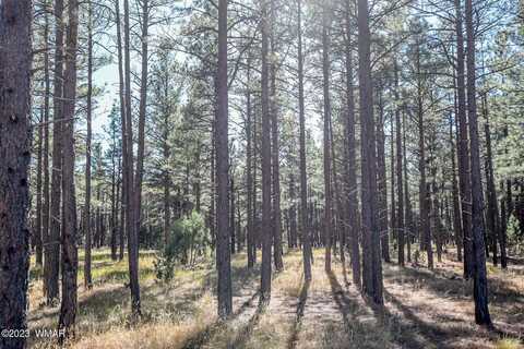 TBD-2 BIRDSONG Way, Lakeside, AZ 85929