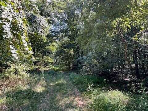 Lot 289 Ivy LN, Garfield, AR 72732