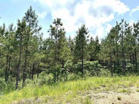 lot 27 Grant County Road 763, Sheridan, AR 72150