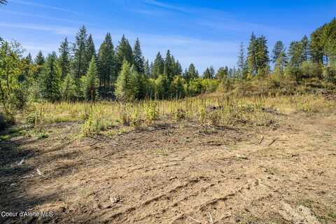 Lot2 N Casper Trail, Rathdrum, ID 83858