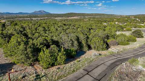 6 Coyote Canyon Trail, Tijeras, NM 87059