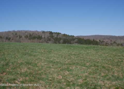 Bell Mountain Road, Clifford Twp, PA 18407