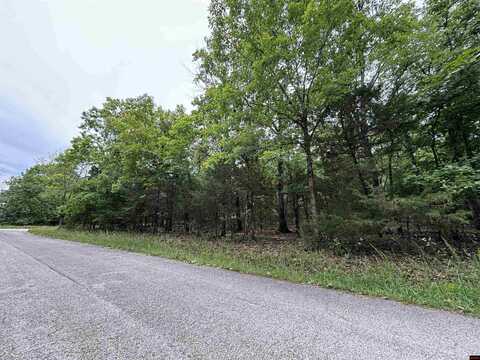 760-22322-000 BELTLINE ROAD, Bull Shoals, AR 72619