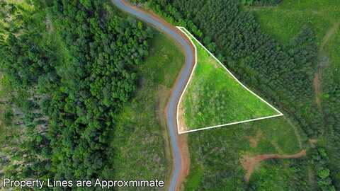 Lot 299 Twisted Oak Road, Talking Rock, GA 30175