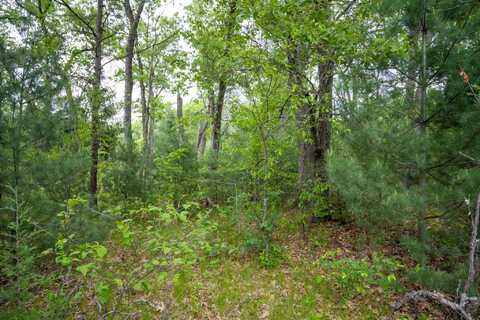 Lot 36 Fawn Court, Grand Marsh, WI 53936
