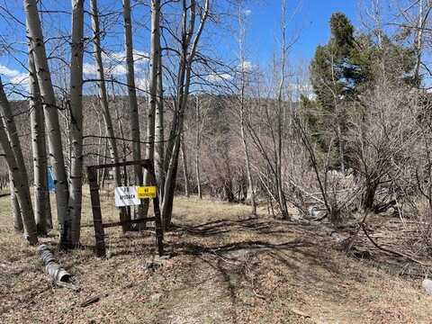 321 Iron Gate Rd, Tererro, NM 87573